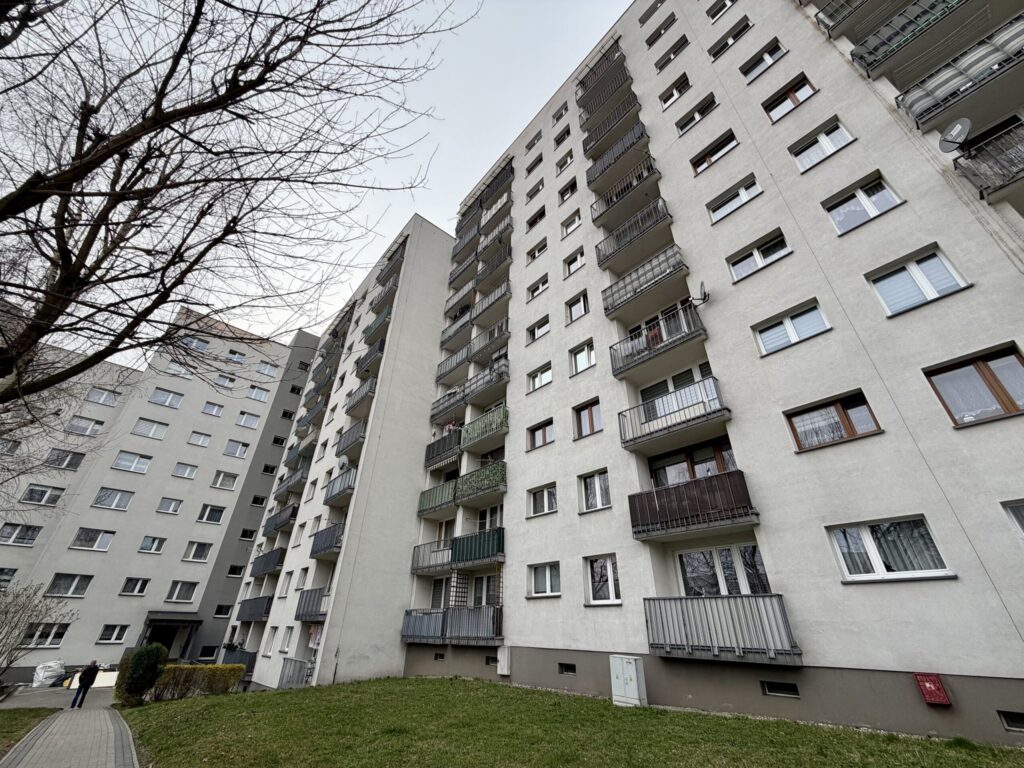 Sosnowiec Wybickiego